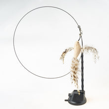 Load image into Gallery viewer, Interactive Bird Simulation Cat Toy Set