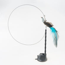 Load image into Gallery viewer, Interactive Bird Simulation Cat Toy Set