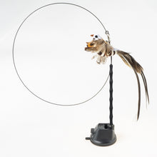 Load image into Gallery viewer, Interactive Bird Simulation Cat Toy Set
