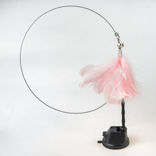 Load image into Gallery viewer, Interactive Bird Simulation Cat Toy Set
