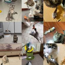 Load image into Gallery viewer, Interactive Bird Simulation Cat Toy Set