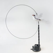 Load image into Gallery viewer, Interactive Bird Simulation Cat Toy Set