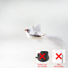 Load image into Gallery viewer, Interactive Bird Simulation Cat Toy Set
