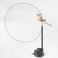 Interactive Bird Simulation Cat Toy Set