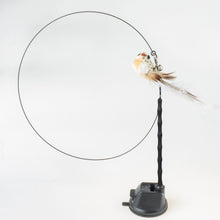 Load image into Gallery viewer, Interactive Bird Simulation Cat Toy Set
