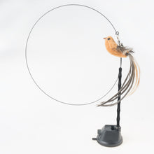 Load image into Gallery viewer, Interactive Bird Simulation Cat Toy Set
