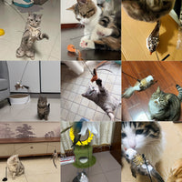 Interactive Bird Simulation Cat Toy Set