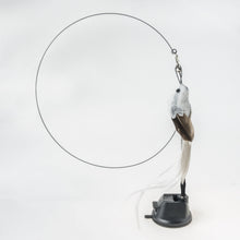 Load image into Gallery viewer, Interactive Bird Simulation Cat Toy Set
